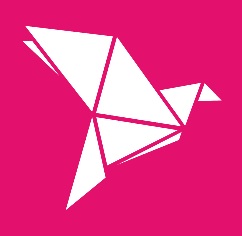 Bkash Logo